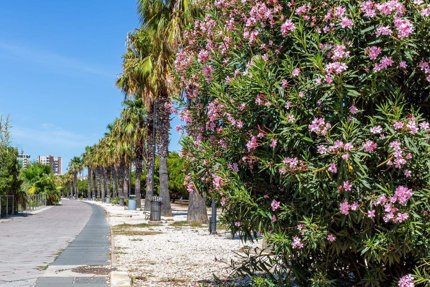 Sunichele Luxury Apartment Cagliari Bagian luar foto
